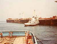 000073247.jpg