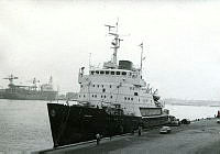 000051917.jpg