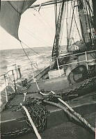 000070145.jpg