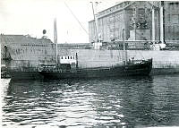 000051911.jpg