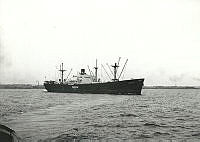 000021440.jpg