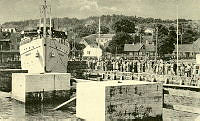 000031981.jpg