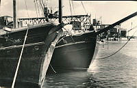 000071939.jpg