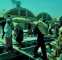 000031690.jpg