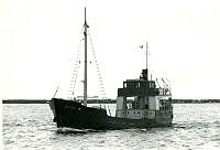 000051904.jpg