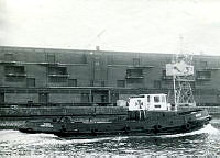000051915.jpg