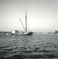 000031787.jpg